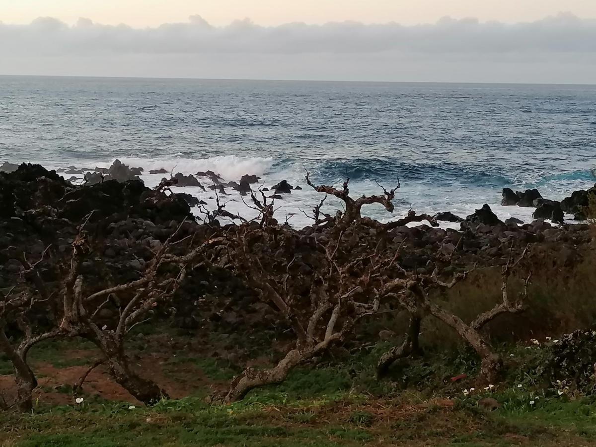 A Casa Da Formosinha Villa Madalena  Eksteriør billede