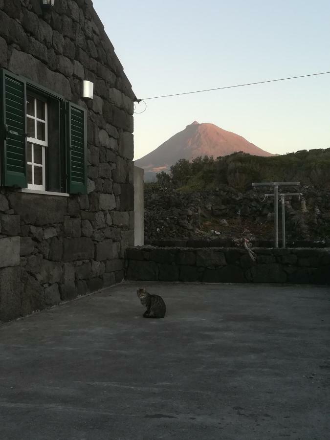 A Casa Da Formosinha Villa Madalena  Eksteriør billede